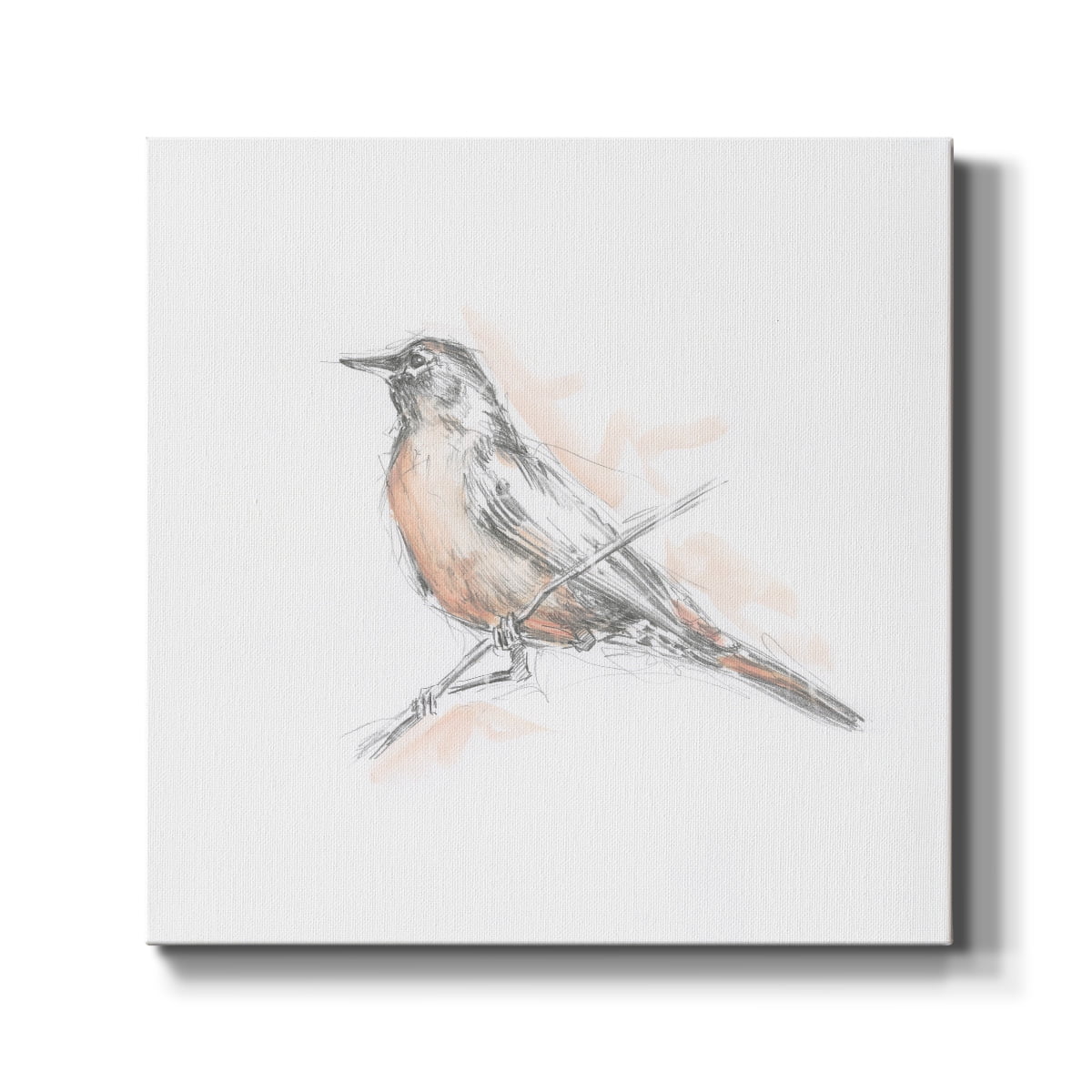 Wexford Home Robin Bird Sketch II-Premium Gallery Wrapped Canvas, 24" x 24" - Ready to Hang
