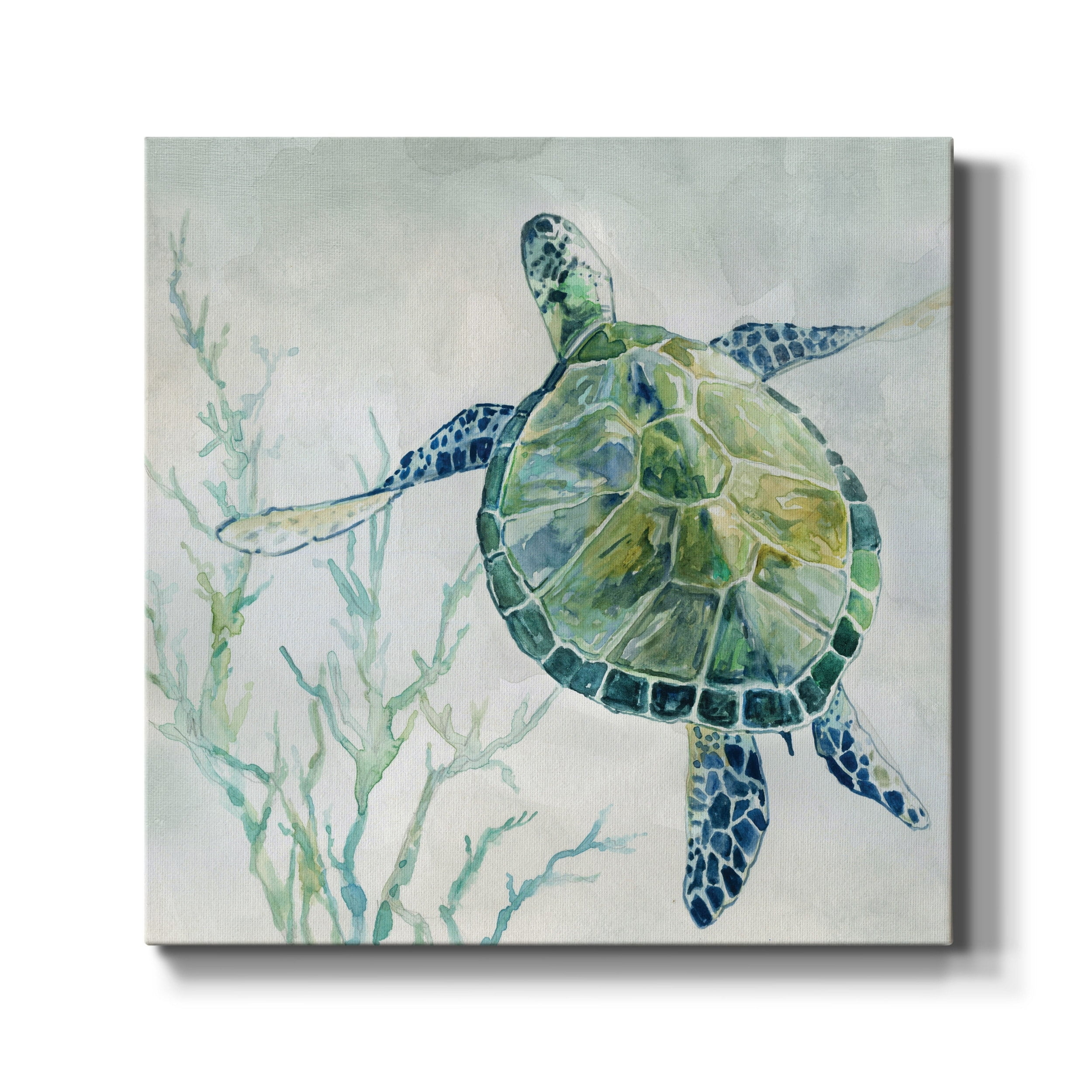Seaglass Turtle Blue and Green Canvas Art 10x10