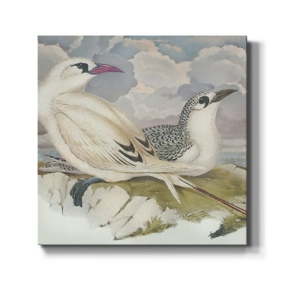 Wexford Home Surf & Sand II-Premium Gallery Wrapped Canvas, 10" x 10" - Ready to Hang