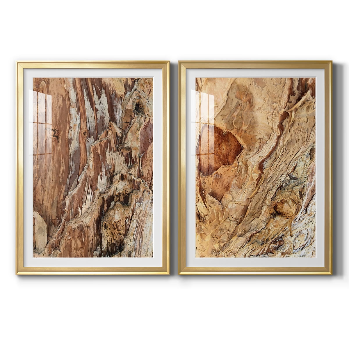 Wexford Home Tree Texture Triptych I Premium Framed Print, 30.5" x 42.5" - Ready to Hang, Gold (Set of 2)