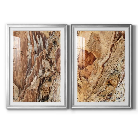 Wexford Home Tree Texture Triptych I Premium Framed Print, 30.5" x 42.5" - Ready to Hang, Silver (Set of 2)