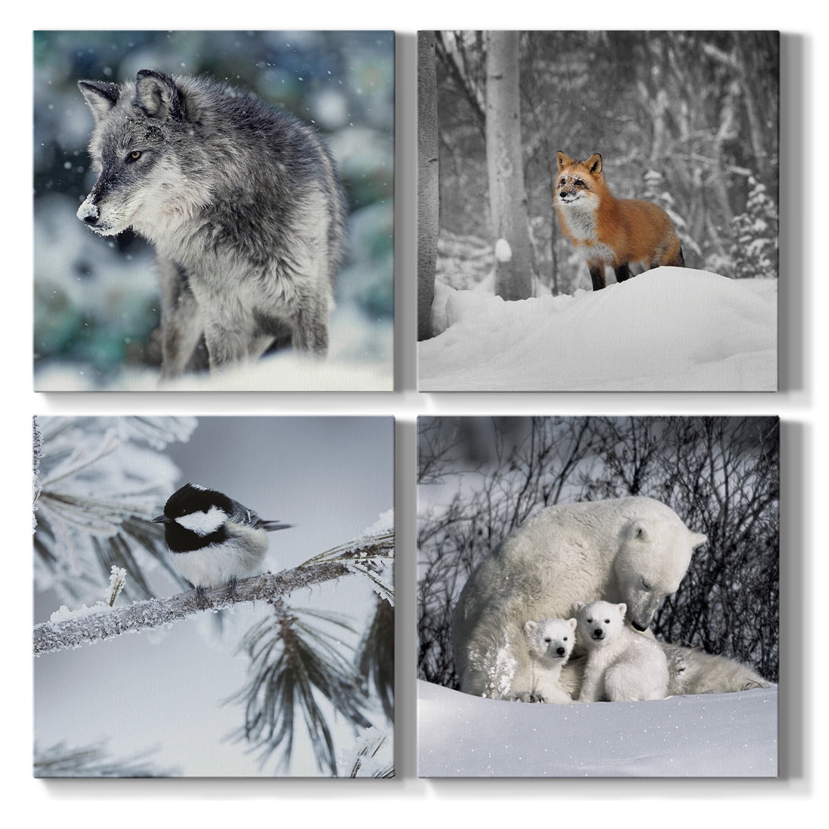 Wexford Home Wildlife Animal Wall Art 32 x 32 inches Each, Fox Wolf Polar Bear Chickadee Picture Prints Set of 4 Decoration for Cabin Motel Home Wall Decor