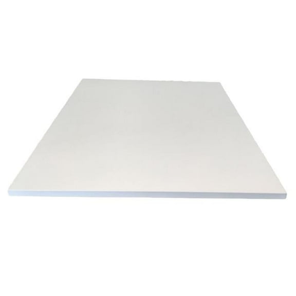 Wexstar F-700CEUS 700W Electric Ceiling Infrared Panel Heater Frameless