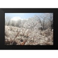 thumbnail image 1 of Weyers, Anna 18x13 Black Modern Framed Museum Art Print Titled - Tallgrass Trail at Big Muddy National Fish and Wildlife Refuge-Missouri, 1 of 4