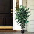 thumbnail image 1 of Weymouth Home 5-Foot Artificial Ficus Tree Topiary, 1 of 1