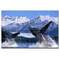 thumbnail image 1 of Whale Ceramic Tile Mural Kitchen Backsplash Bathroom Shower, 403067-XL64, 1 of 3