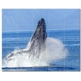 thumbnail image 1 of Whale Ceramic Tile Mural Kitchen Backsplash Bathroom Shower, 403083-L54, 1 of 3
