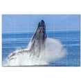 thumbnail image 1 of Whale Ceramic Tile Mural Kitchen Backsplash Bathroom Shower, 403083-XL64, 1 of 3