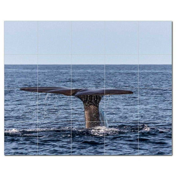 Whale Ceramic Tile Mural Kitchen Backsplash Bathroom Shower, 403098-L54