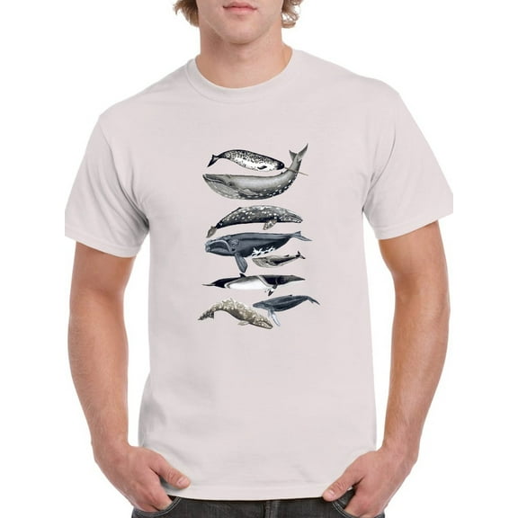 Whale Display Ii. T-Shirt Men -Naomi McCavitt Designs, Male 4X-Large