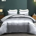 thumbnail image 1 of Whale Flotilla 3-Piece Reversible Silky Soft Twin Size Comforter Bedding Set, Luxurious Satin Comforters with 1 Satin Pillowcase, Lightweight Duvet for All Seasons, Grey, 1 of 8