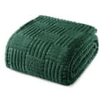 thumbnail image 1 of Whale Flotilla Fluffy Fleece 60"x 80" Twin Size Blanket for Bed, Fuzzy Soft Cozy Exquisite Blankets with Decorative Jacquard Pattern for All Season, Warm but Lightweight, Emerald Green, 1 of 9