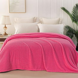 Cannon Cozy Teddy Plaid Blue Cream King Blanket Walmart