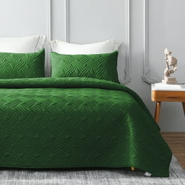 https://i5.walmartimages.com/seo/Whale-Flotilla-Quilt-Set-Twin-Size-Soft-Microfiber-Lightweight-Bedspread-Coverlet-Bed-Cover-Wave-Pattern-All-Seasons-Green-2-Pieces-Includes-1-Quilt_3e3e8764-ae48-41ee-b60a-b5750ad37e61.05a8696f8fc88491b5ccd2e42864f802.jpeg?odnHeight=264&odnWidth=264&odnBg=FFFFFF