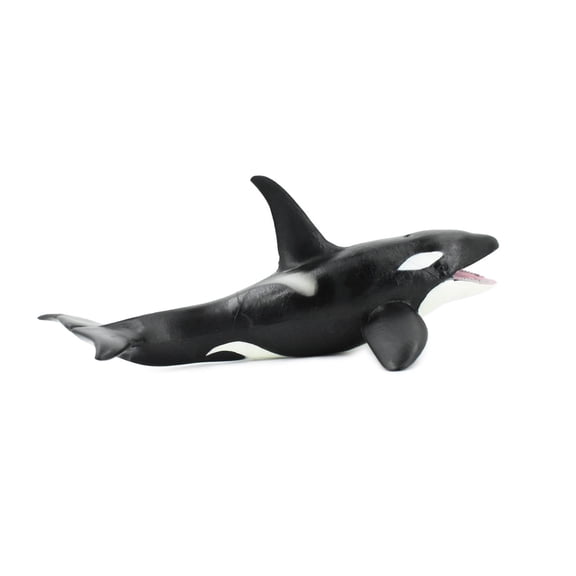 Whale, Orca, Killer Whale, Marine Mammal, Museum Quality, Hand Painted, Rubber Animal, Realistic Toy Figure, Model, Educational, Gift, 8" CH394 BB147