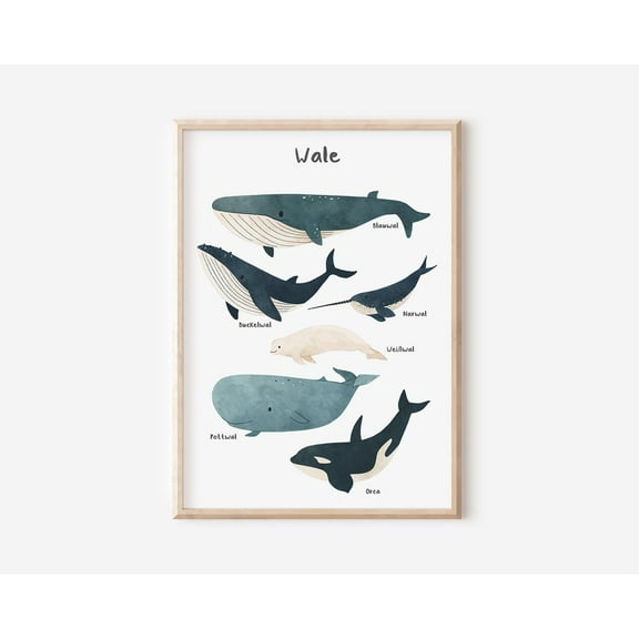 Whale Poster In A2 A3 A4 Poster For Children'S Rooms Print Gift For Girls Gift For Boys Sea Poster Animal Poster Whale Poster Sea Wall Art, Modern Wall Decor, 16x24 UNFRAMED