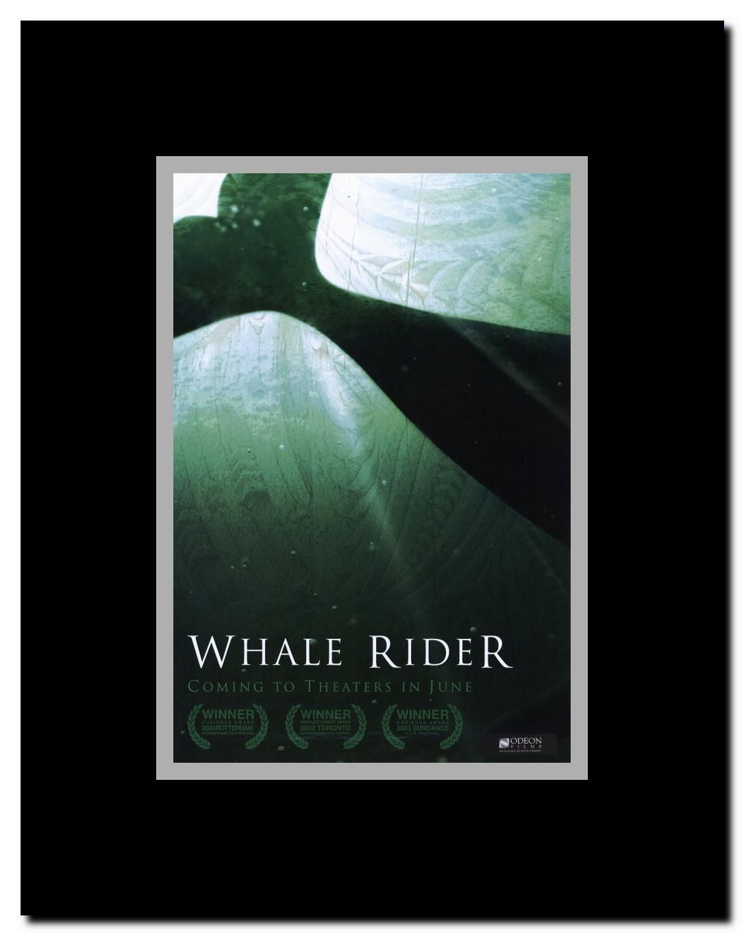 Whale Rider Framed Movie Poster