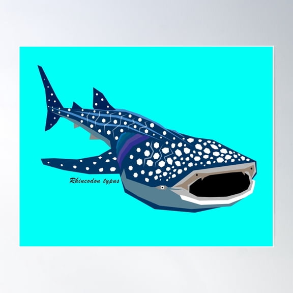 Whale Shark Geometric Art With Scientific Name Text And Turquoise Background Poster Wall Art Modern Wall Decor For Living Room Bedroom Art