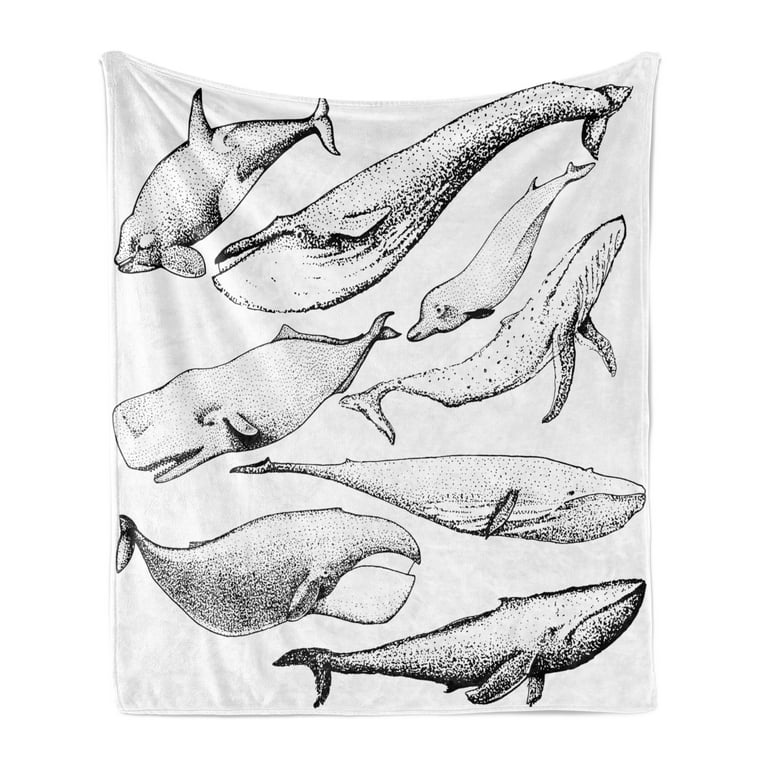 Whale throw blanket new arrivals