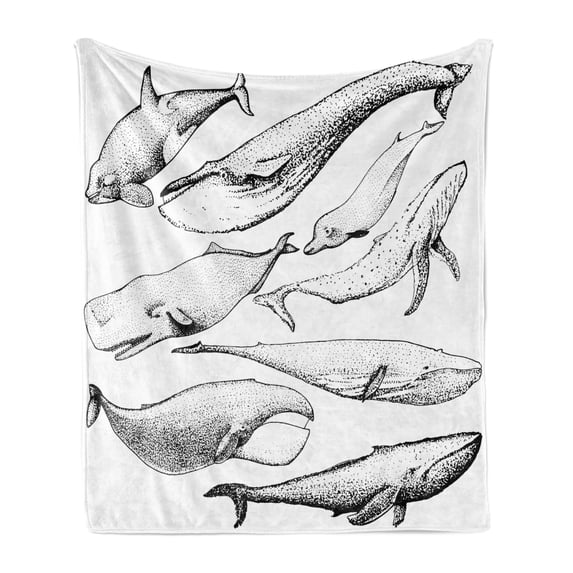 Whale Soft Flannel Fleece Throw Blanket, Hand Drawn Black and White Whales from Single Type Small and Big Image, Cozy Plush for Indoor and Outdoor Use, 70" x 90", Black and White, by Ambesonne