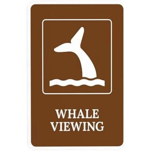 Whale Viewing With Symbol Warning Sign, Guide Metal Signs for Outdoor Indoor Road Yard Garage Home Business Street Wall Caution Custom Decor 8 x 12 Inch