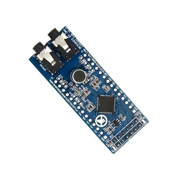 Whaledi Advanced Speech Recognition Module Board Supporting Multiple Languages