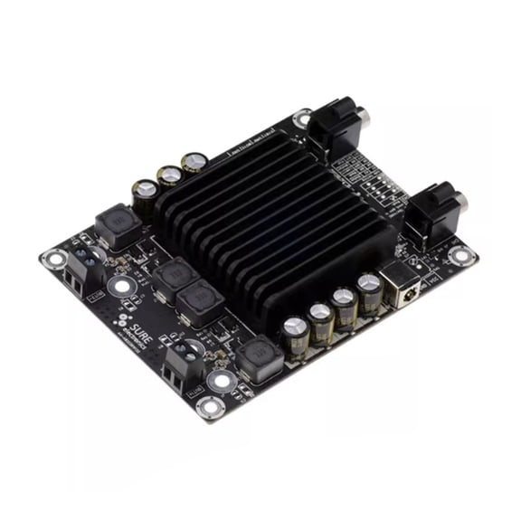Whaledi Low Noise 25W Two Channel Class D Amplifiers Module Space Saving Design