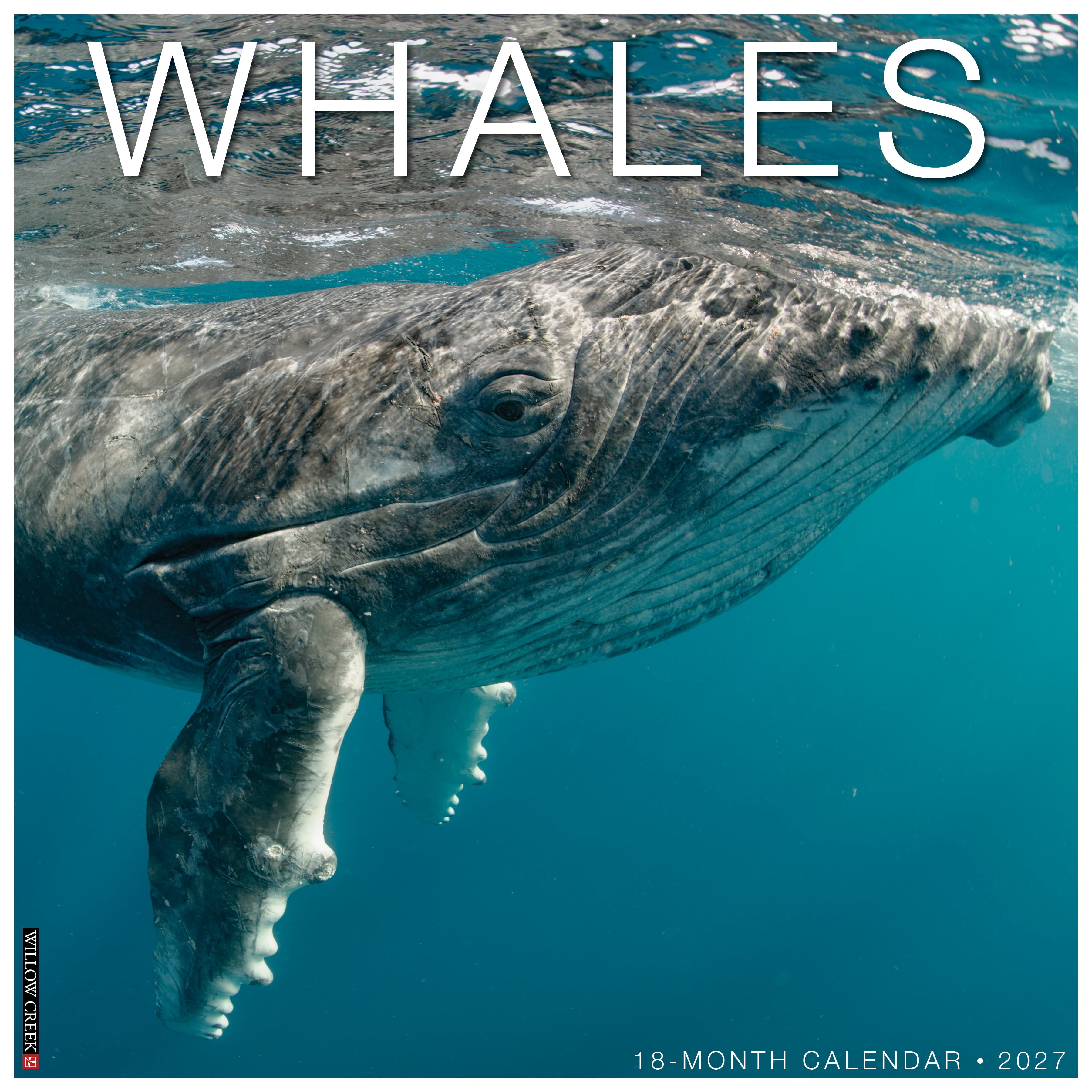 Willow Creek Press, Whales 2027 Wall Calendar