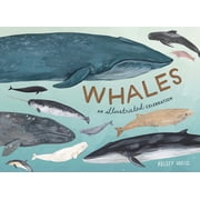 Whales An Illustrated Celebration, Hardcover