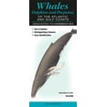 thumbnail image 1 of Whales, Dolphins and Porpoises of the Atlantic and Gulf Coasts: Nova Scotia to Caribbean Sea (Other), 1 of 1