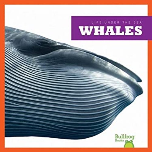 Pre-Owned Whales (Library Binding) 9781620310090