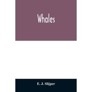 Whales Paperback
