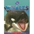 thumbnail image 1 of Pre-Owned Whales Paperback, 1 of 1