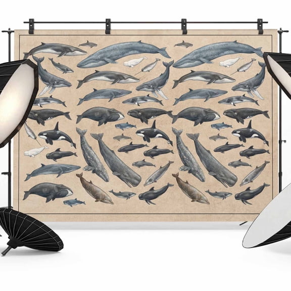 Whales Photography Backdrop 7x5FT, Retro Whales Biographies Linen Texture Photo Backdrops, Background for Photography Studio Photo Studio Background, Back Drop for Photoshoot