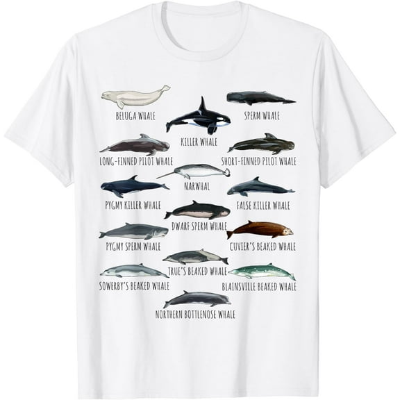 Whales Species Biology Different Types Of Whales T-Shirt