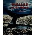 thumbnail image 1 of Pre-Owned Whales of the World (Easy Reading) Paperback, 1 of 1