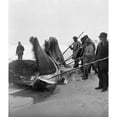 thumbnail image 1 of Whaling C1908. Nmen With Blubber-Cutting Spades With Part Of A Whale On A Beach. Stereograph C1908. Print by, 1 of 3