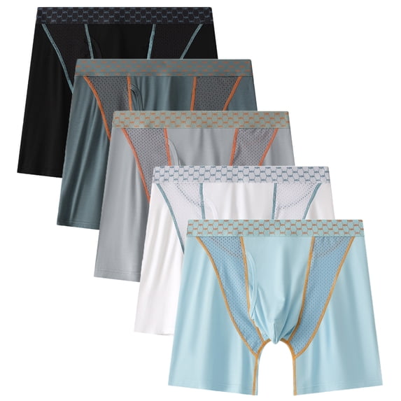 Whaninti Men's Mesh Breathable Boxer Briefs Front Fly 3D-pouch Long Underwear 5-Pack M