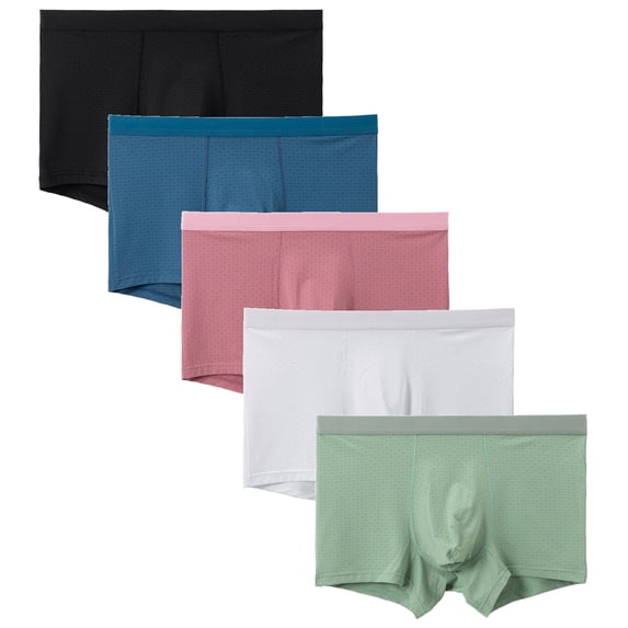 Whaninti Men's Trunks Underwear Silk Mesh Quick-Dry 3D-pouch Boxer Briefs 5-Pack M