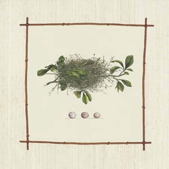What A Nest Canvas Art - Unknown (24 x 24)