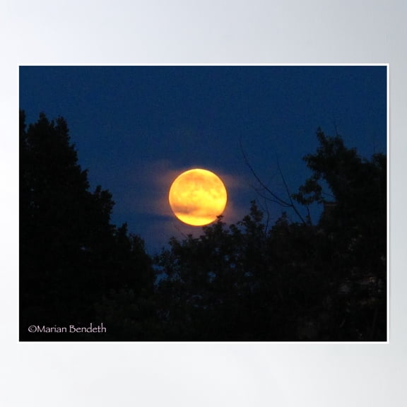 What A Supermoon! Poster Wall Art, Modern Wall Decor, 8x12 UNFRAMED