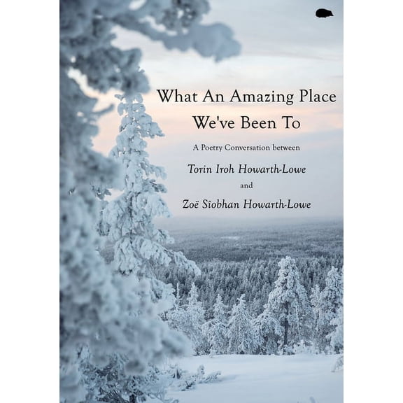 What An Amazing Place We've Been To, (Paperback)
