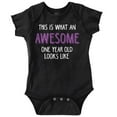thumbnail image 1 of What An Awesome 1 Year Old Looks Like Romper Boys or Girls Infant Baby Brisco Brands 6M, 1 of 6