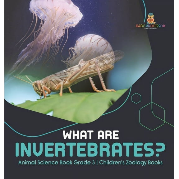 What Are Invertebrates? Animal Science Book Grade 3 Children's Zoology Books (Hardcover)