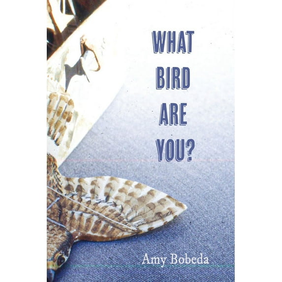 What Bird are You (Paperback)