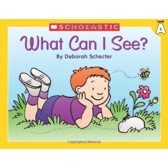 Pre-Owned Little Leveled Readers: Level A - What Can I See?: Just the Right Level to Help Young Readers Soar! (Paperback) 0439586542 9780439586542