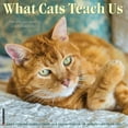 thumbnail image 1 of What Cats Teach Us 2024 12 X 12 Wall Calendar (Other), 1 of 4