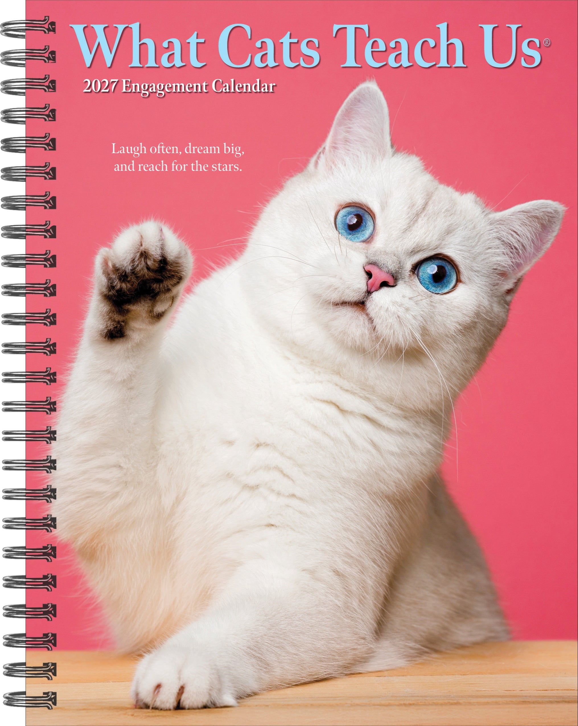 Willow Creek Press, What Cats Teach Us 2027 Engagement Calendar