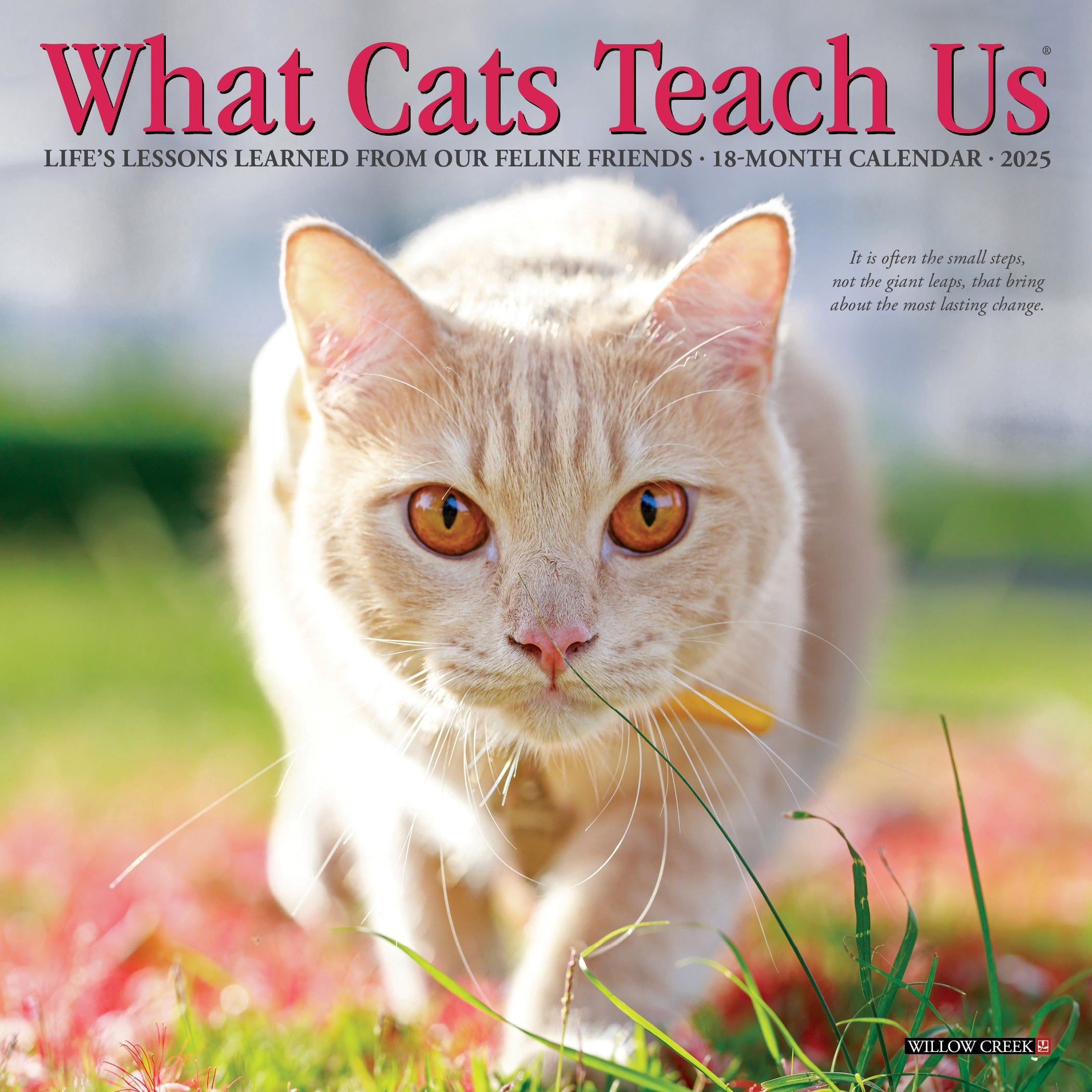 Willow Creek Press, What Cats Teach Us 2027 Mini Wall Calendar