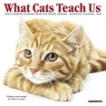 thumbnail image 1 of What Cats Teach Us Mini 2019 Wall Calendar (Other), 1 of 3